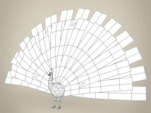 low poly realistic peacock 3D Model