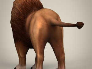 game ready realistic lion Modelo 3D