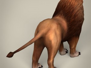 game ready realistic lion Modelo 3D