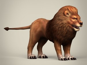 game ready realistic lion Modelo 3D