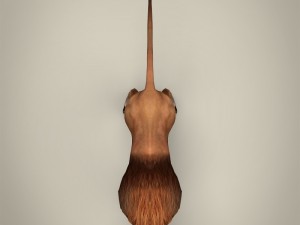 game ready realistic lion Modelo 3D