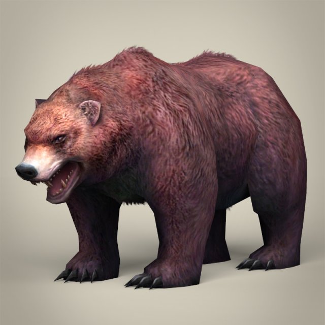 game ready realistic bear Model 3D .c4d .max .obj .3ds .fbx .stl .blend 