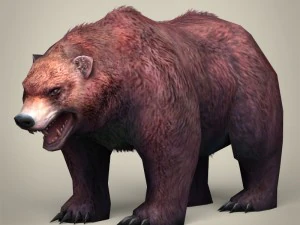 готовий до гри реалістичний ведмідь 3D Модель