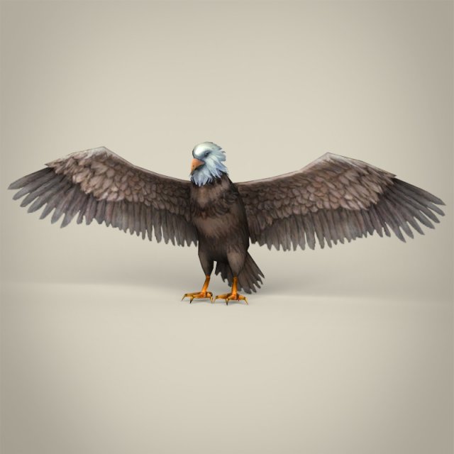 low poly realistic eagle Model 3D .c4d .max .obj .3ds .fbx .stl .blend 