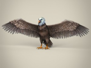 low poly realistic eagle 3D Model