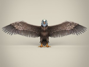 low poly realistic eagle Model 3D