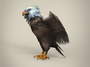 low poly realistic eagle Model 3D