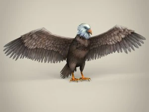 low poly realistic eagle 3D Model