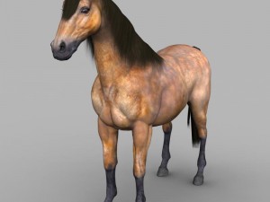realistic muscular horse 3D Model