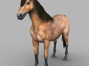 realistic muscular horse 3D Model