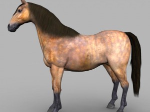 realistic muscular horse 3D Model