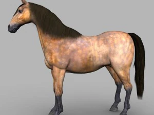 realistic muscular horse 3D Model