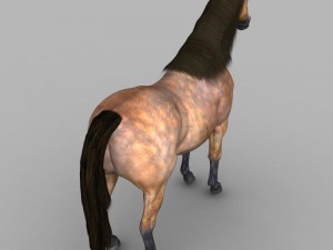 realistic muscular horse 3D Model