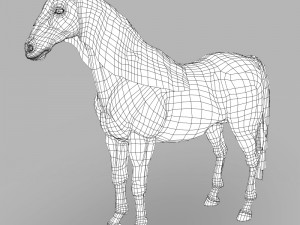 realistic muscular horse 3D Model