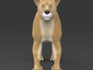 realistische L&ouml;win 3D Modell