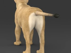 realistische L&ouml;win 3D Modell