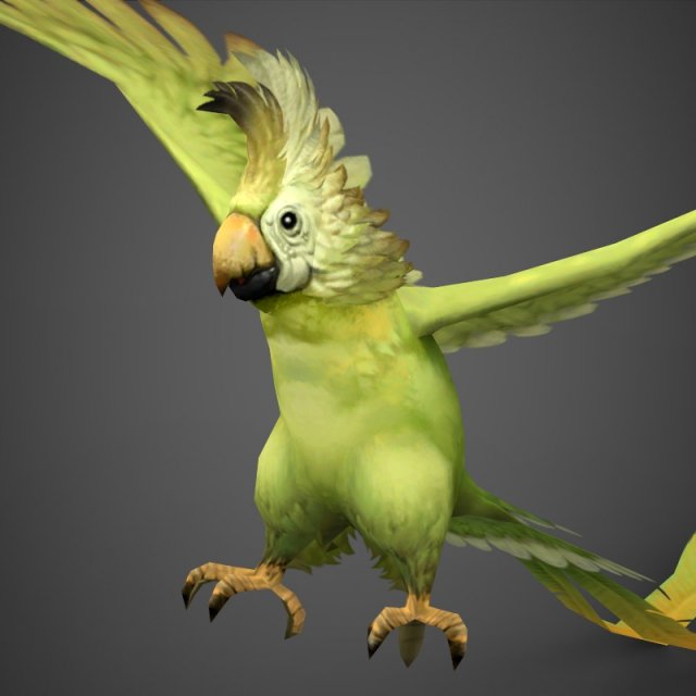 game ready parrot 3D Model .c4d .max .obj .3ds .fbx .stl .blend 