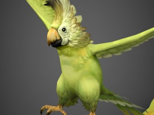 game ready parrot 3D 模型
