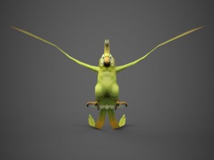 game ready parrot 3D Model