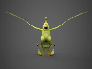 gotowa do gry papuga Model 3D