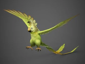 gotowa do gry papuga Model 3D