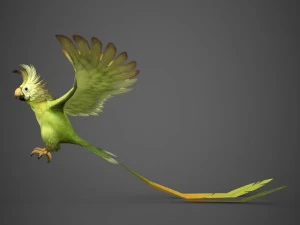 gotowa do gry papuga Model 3D