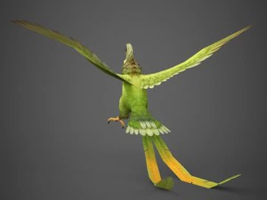 gotowa do gry papuga Model 3D