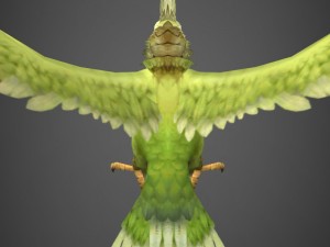 game ready parrot 3D Model