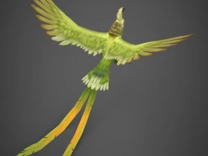 gotowa do gry papuga Model 3D