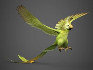 gotowa do gry papuga Model 3D