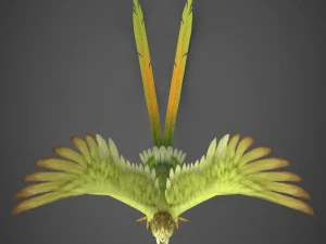 gotowa do gry papuga Model 3D