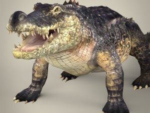 realistic crocodile 3Dモデル