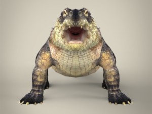 realistic crocodile 3Dモデル