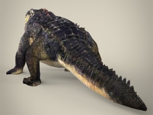 realistic crocodile 3Dモデル