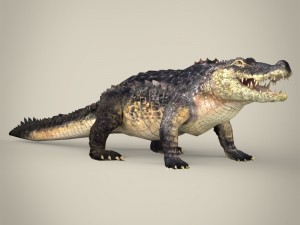 realistic crocodile 3Dモデル