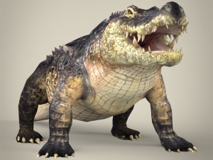 realistic crocodile 3Dモデル