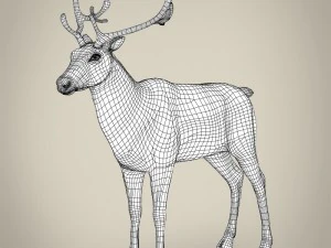renna realistica Modello 3D