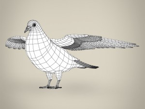 realistic pigeon 3D Model