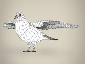 realistic pigeon 3D Model