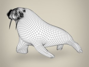realistic walrus 3D Model