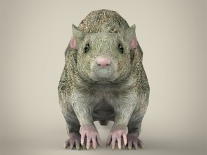 game ready rat Modelo 3D