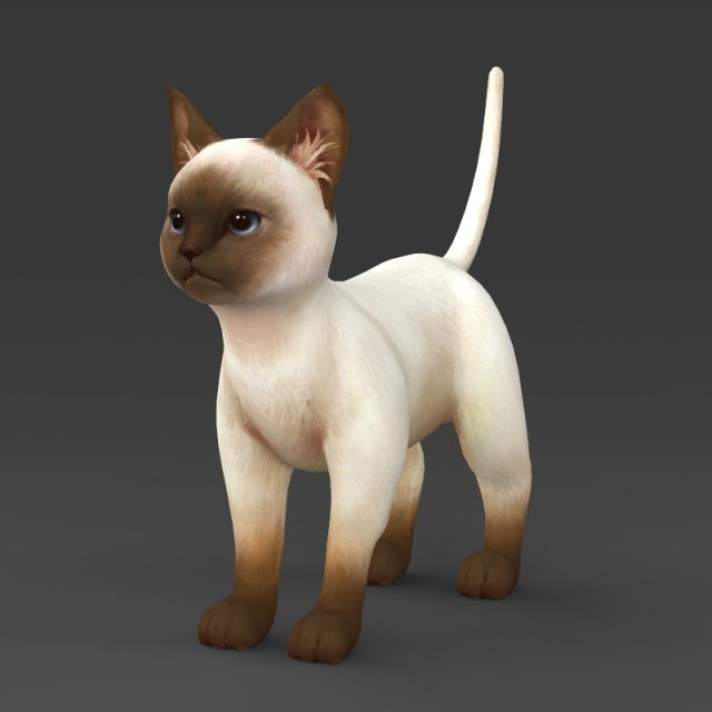 game ready white brown kitten 3D-Modell .c4d .max .obj .3ds .fbx .stl .blend 