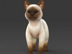 game ready white brown kitten 3D-Modell