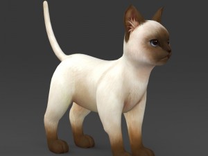 game ready white brown kitten 3D-Modell