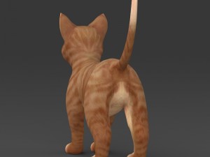 game ready brown kitten 3D Model