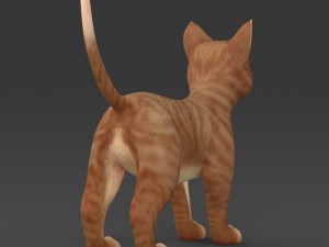 game ready brown kitten 3D Model
