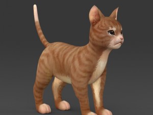 game ready brown kitten 3D Model