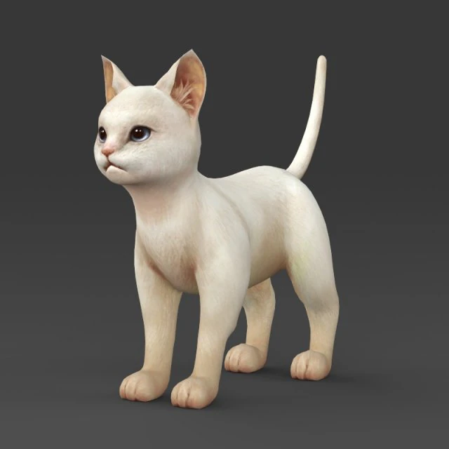 game ready white kitten 3D Model .c4d .max .obj .3ds .fbx .stl .blend 