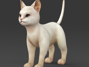 game ready white kitten Modelo 3D