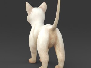 game ready white kitten 3D मॉडल